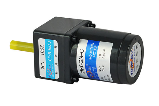 微型交流齿轮减速电机 6W